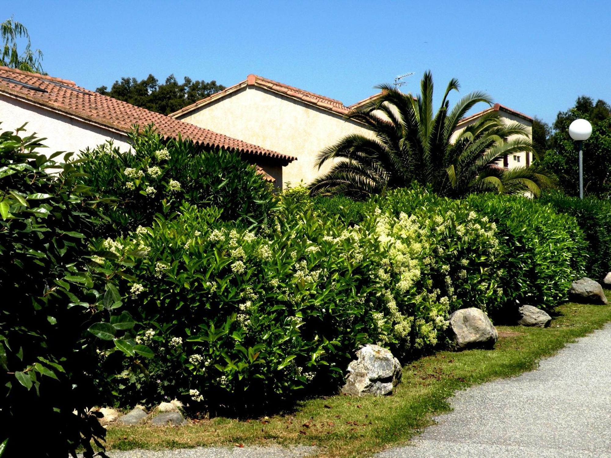 Residence De Tourisme Marina Corsa Ghisonaccia Exteriör bild